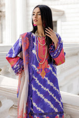 3-PC Stitched Embroidered Lawn Collection AG6-01 P