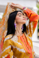 3-PC Stitched Embroidered Lawn Collection AG6-06 P