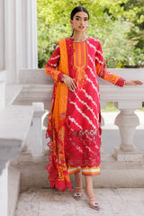 3-PC Stitched Embroidered Lawn Collection AG6-04 P