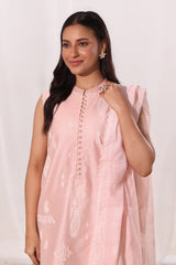 3Pc Cotton Net Embroidered Suit