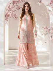 2 Piece Poly Net Suit- Embroidered (Pret)
