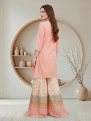 2 Piece Missouri Suit- Embroidered (Pret)