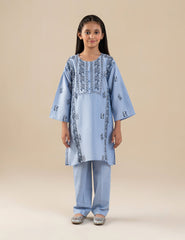 2 PIECE ETHNIC EMBROIDERED SUIT