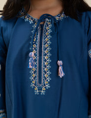 2 PIECE VIBRANT EMBROIDERED SUIT