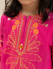 2 PIECE STYLISH EMBROIDERED SUIT