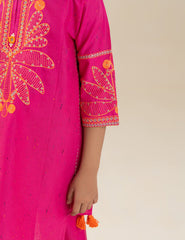 2 PIECE STYLISH EMBROIDERED SUIT