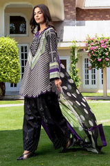 3-PC Stitched Printed Lawn CP6-24P