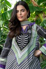 3-PC Stitched Printed Lawn CP6-24P