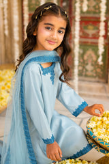 3-PC Embroidered Raw-Silk CKP-6-381