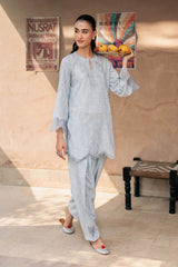 2 Piece Embroidered Lawn Suit