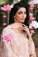 3 Piece Embroidered Lawn Suit