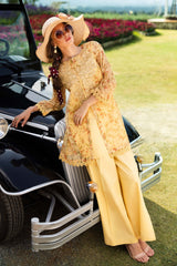3 Piece Embroidered Cotton Net Suit