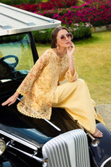 3 Piece Embroidered Cotton Net Suit