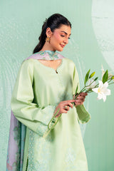 MIDNIGHT BLOSSOM - MSS6009