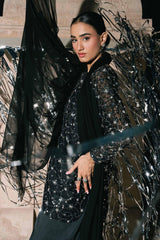 3 Piece Embroidered Net Suit