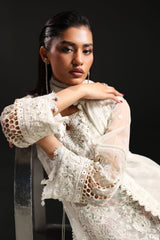 3 Piece Embroidered Organza Suit