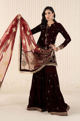 3 Piece Embroidered Velvet Suit