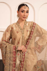 3 Piece Embroidered Tissue Suit