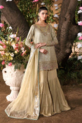 3 Piece Embroidered Chiffon Suit