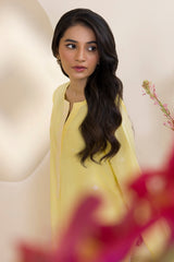 Embroidered Kurta Trouser - 2601