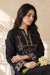 Embroidered Kurta Trouser - 3213