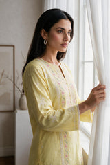 Embroidered Kurta Trouser - 3239