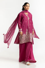 Poly Net Burnout Dupatta