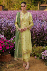 3-PC  Embroidered Lawn Collection Suit CZ5-06 P