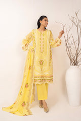3PC Cotton Net Embroidered Suit