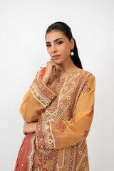 3PC Cotton Net Embroidered Suit