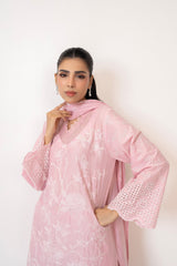 3PC Lawn Embroidered Suit