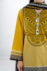 3PC Lawn Printed Suit