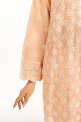 3PC Chiffon Embroidered Suit