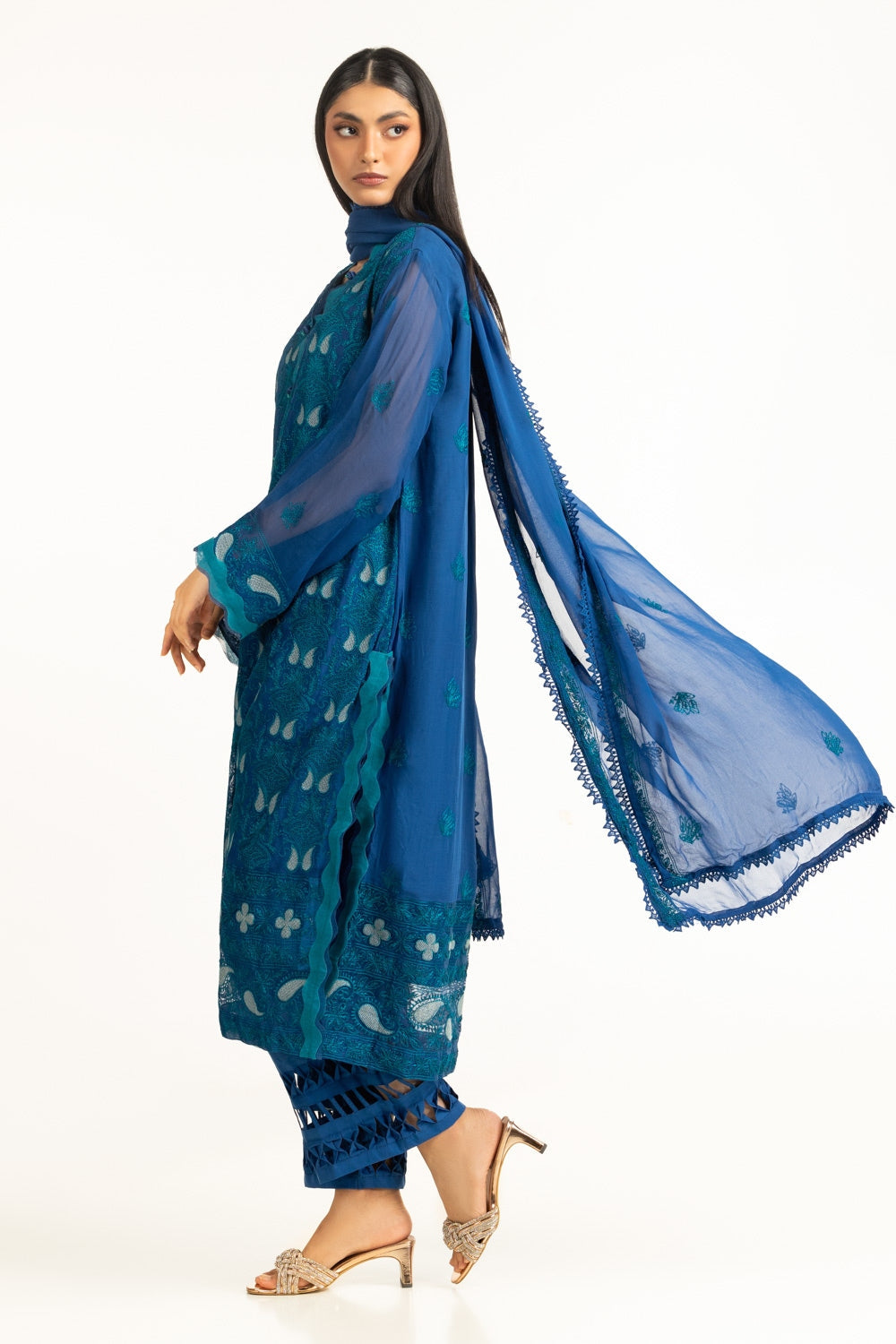 3Pc Chiffon Embroidered Suit