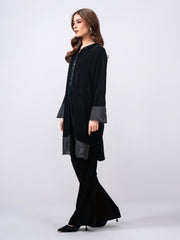 2 Piece Velvet Suit- Embroidered (Pret)