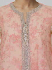 2 Piece Poly Net Suit- Embroidered (Pret)