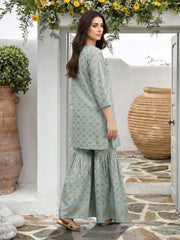 2 Piece Lawn Suit- Embroidered (Pret)