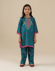 2 PIECE ETHNIC EMBROIDERED SUIT
