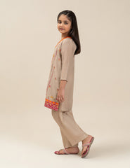 2 PIECE ETHNIC EMBROIDERED SUIT