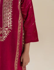2 PIECE ETHNIC EMBROIDERED SUIT