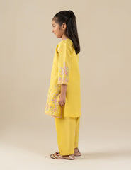 2 PIECE ETHNIC EMBROIDERED SUIT
