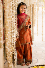3-PC Embroidered Raw-Silk CKP-6-365