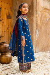 3-PC Embroidered Raw-Silk CKP-6-368