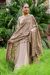 3-PC Embroidered Chiffon CMA-6-449