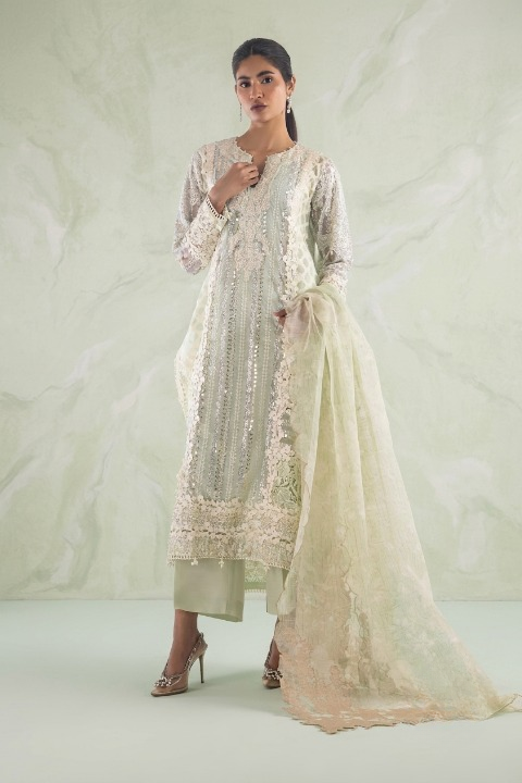 Stitched Embroidered Net Suit