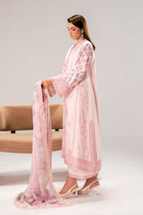 RENATA - MSS6314