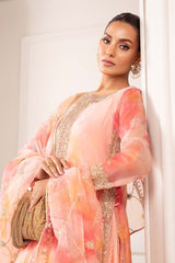 3 Piece Embroidered Organza Suit
