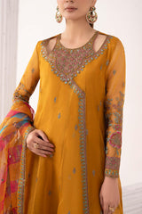 3 Piece Embroidered Organza Suit