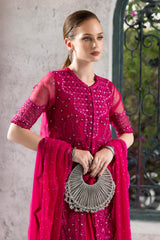 3 Piece Embroidered Organza Suit