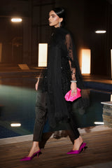 3 Piece Embroidered Net Suit